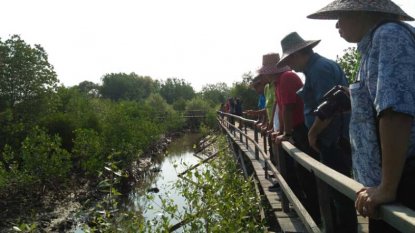 Dongkrak Ekonomi Masyarakat, Pemkab Kembangkan Wisata Mangrove